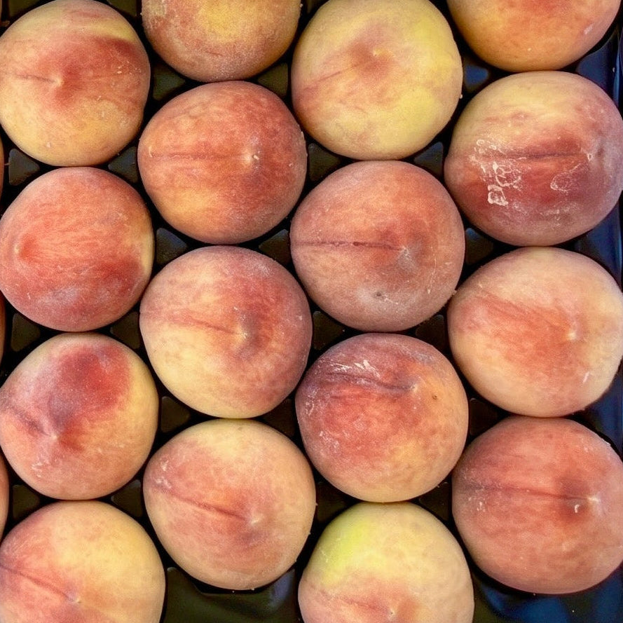 Suncrest Peaches (half flat)
