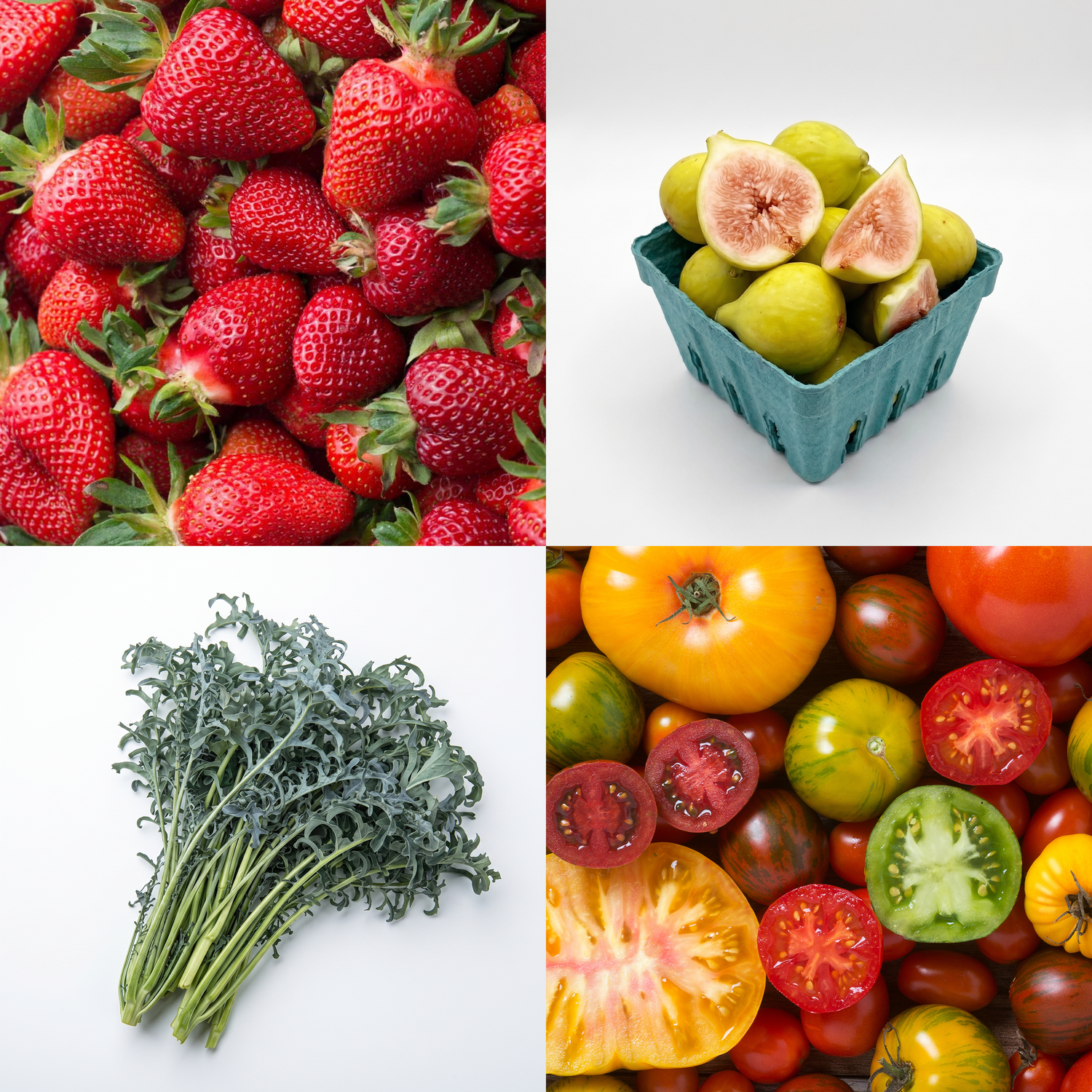 Taste of Rootstock
