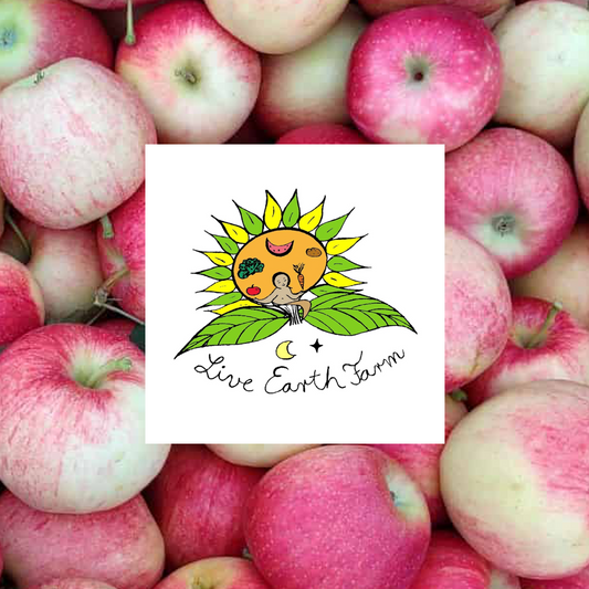 Gala Apples