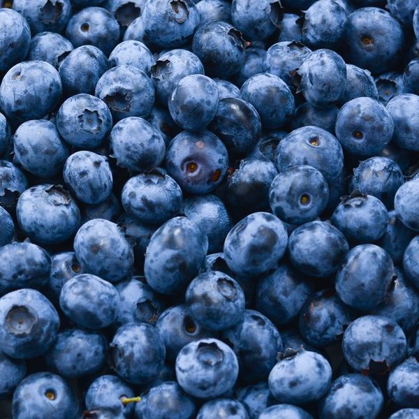 Fruit