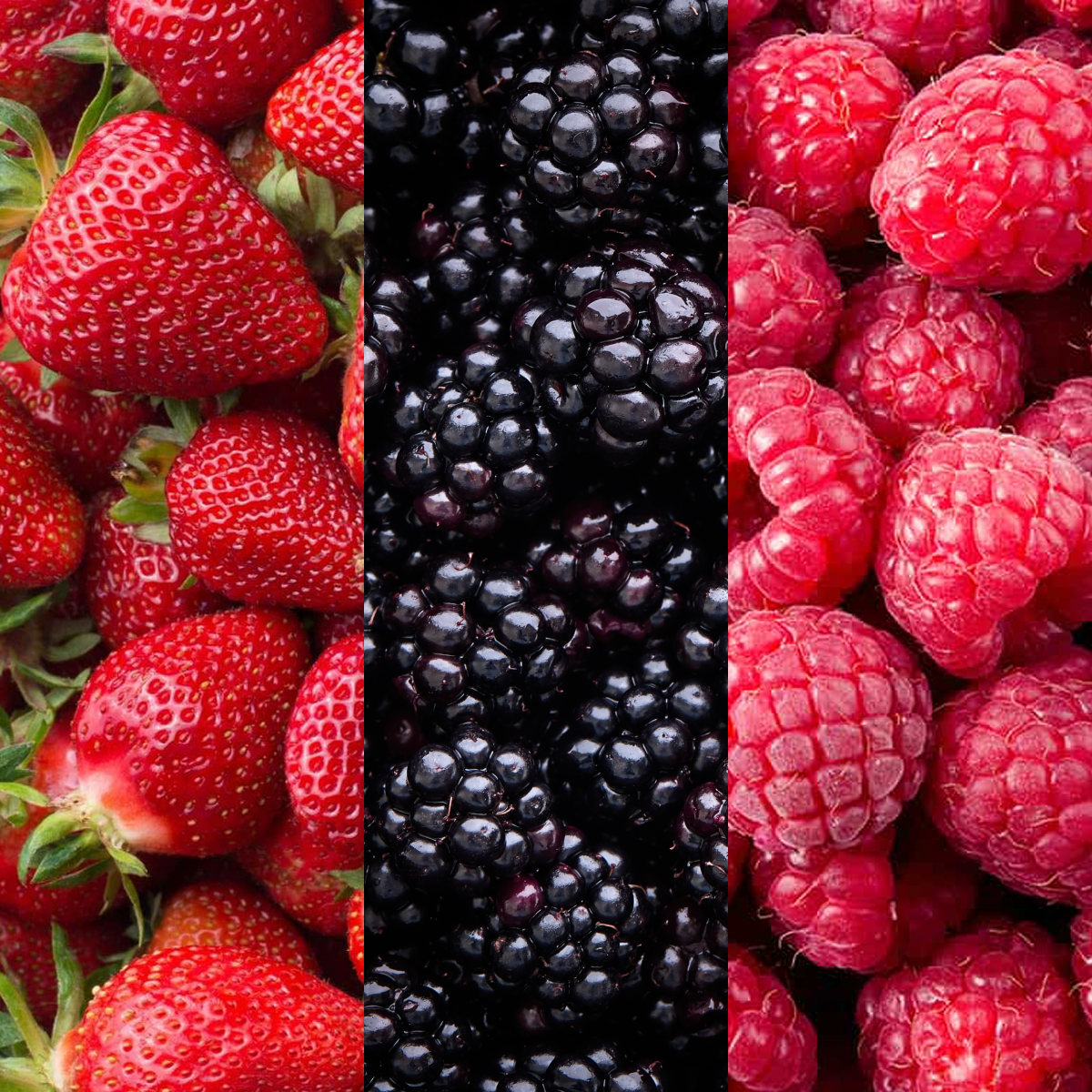 Box of Berries
