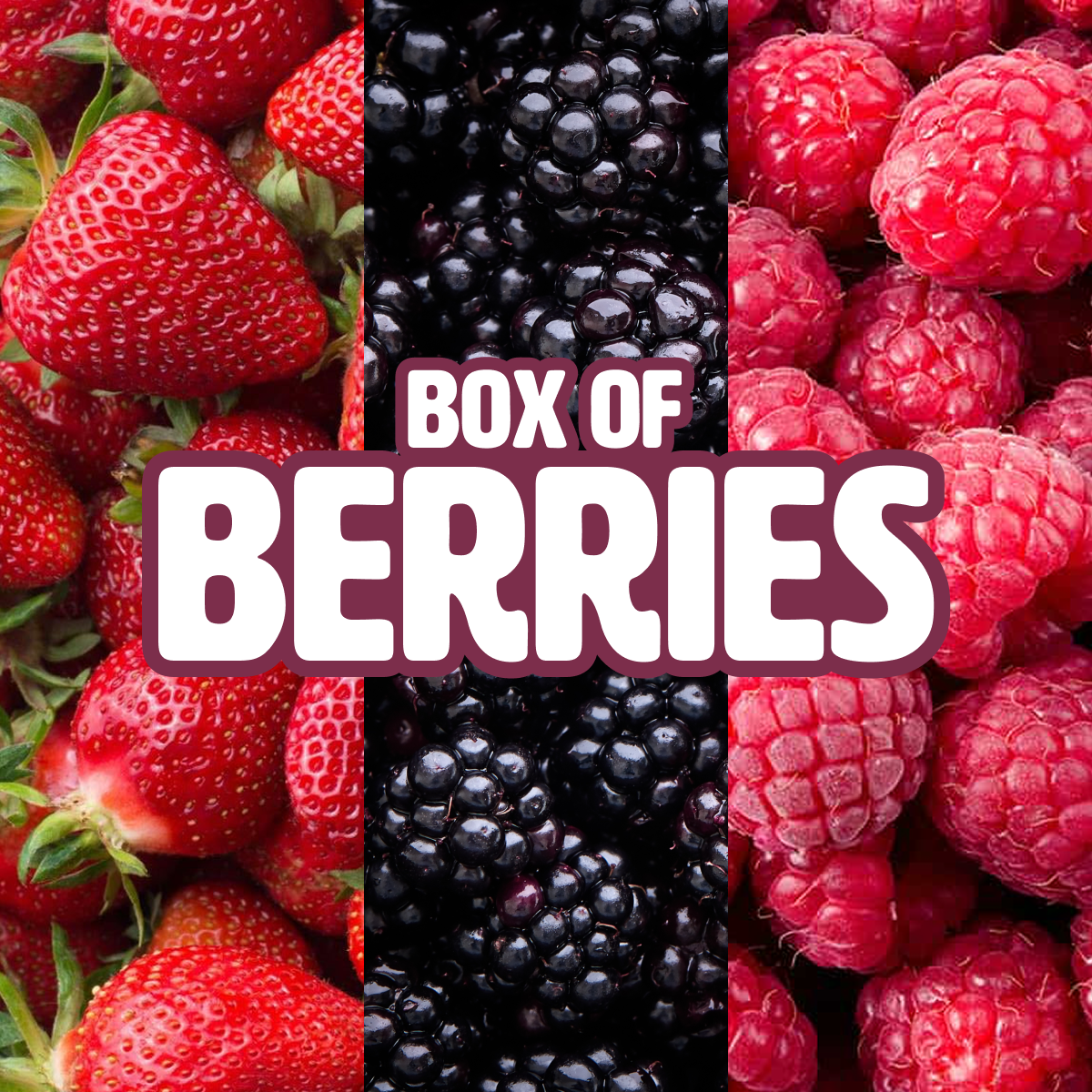 Box of Berries
