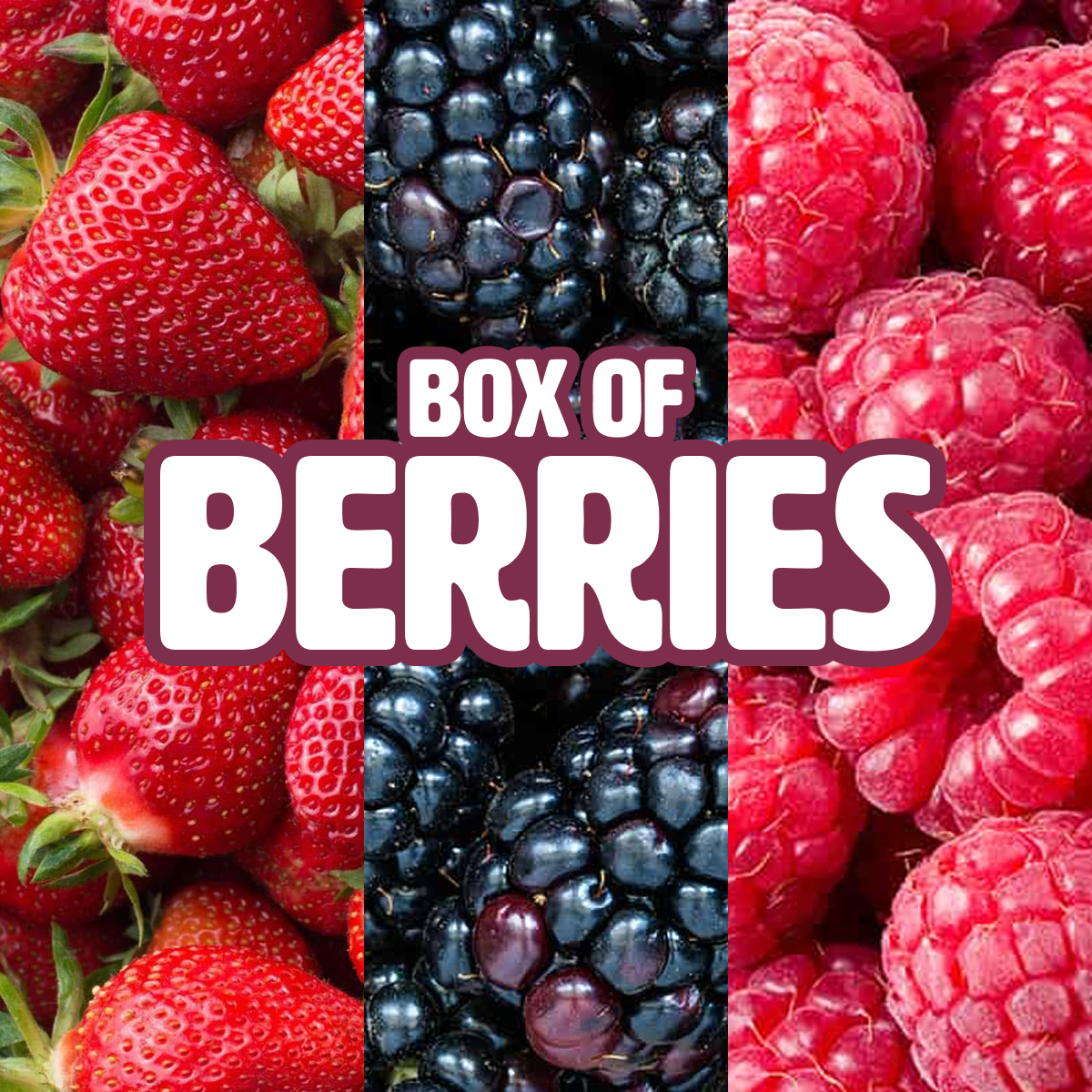 Box of Berries