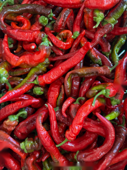 Jimmy Nardello Peppers