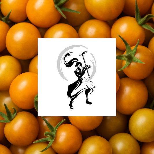 Sungold Cherry Tomatoes