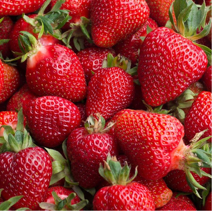 Albion Strawberries (half flat, 6-pint)