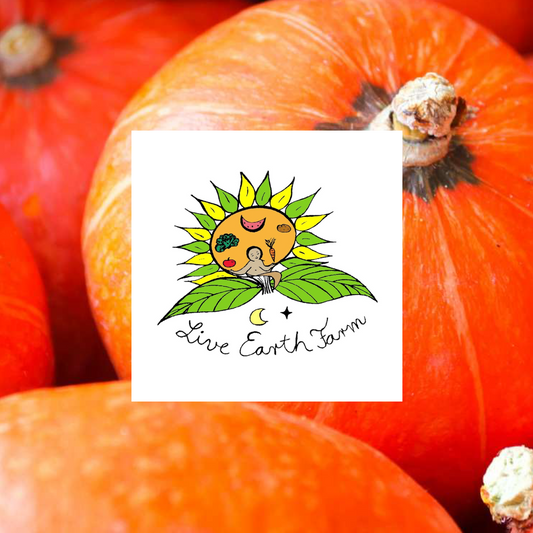 Red Kabocha Squash
