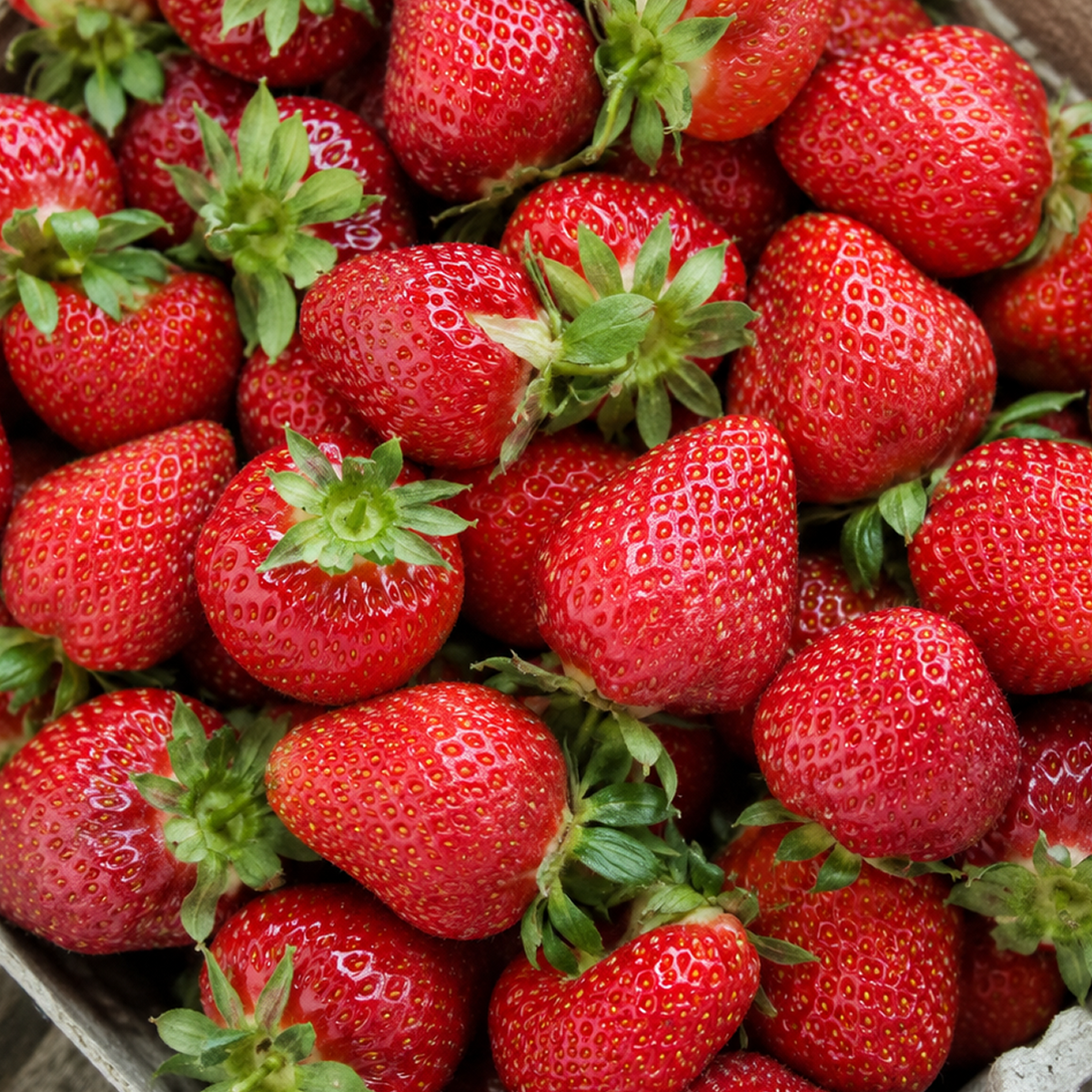 089 Strawberries (clamshell)