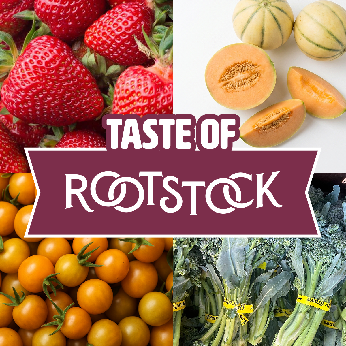 Taste of Rootstock