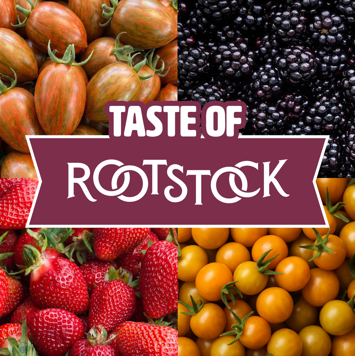 Taste of Rootstock